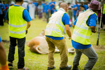 Fototapeta premium selangor , Malaysia August 11, 2019 - 