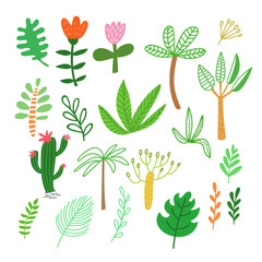 Tropical leaves vector illustrations set. Jungle plants isolated design element. Tropic greenery, monstera, philodendron, palm. Botanical herbs, ecology. Rainforest foliage, botanical hawaii plants