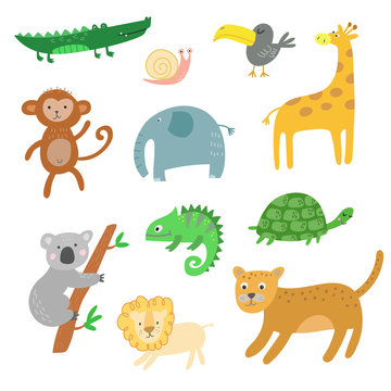 African animals, jungle tropical animals clipart, isolated vector set
