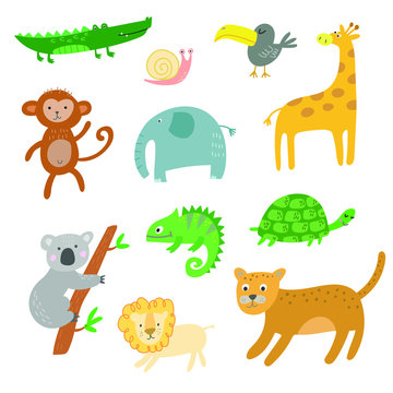 African animals, jungle tropical animals clip art, isolated vector set