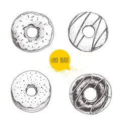 Sweet dessert donuts. Hand drawn sketch style illustration. Glazed, iced sweet doughnut with chocolate. Fresh bakes. Vector illustration isolated on white background.