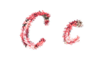 Beautiful illustration of both uppercase and lowercase letters made of spring flowers.