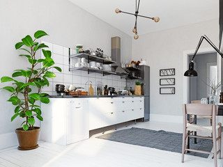 modern scandinavian style kitchen interior.