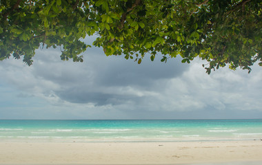 tropical beach and sea. cloudy pre-storm sky with dense green thickets of trees on the Pacific Ocean coast. azure sea under cloudy gray skies and green trees