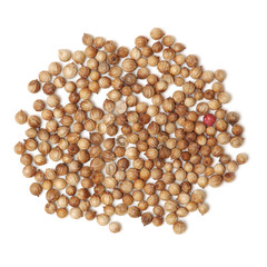 Coriander seeds on white background 