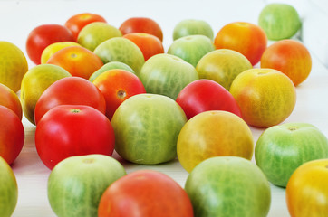 Red, green and yellow tomatoes on white background. Tomatoes of different colors and varieties. Juicy tomatoes on a white table. Colorful vegetables.