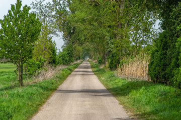 Fototapeta na wymiar rural alley