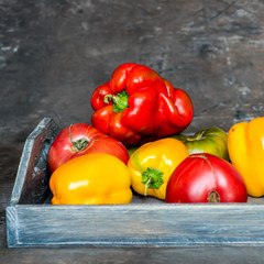 Imperfect natural peppers and tomatoes on an old wooden tray on a dark background. Copy Space.