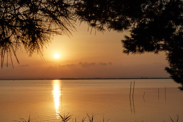 Fototapeta na wymiar Sunset in The Albufera Natural Park