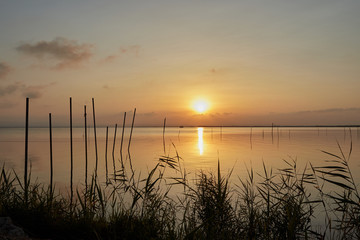 Plakat Sunset in The Albufera Natural Park