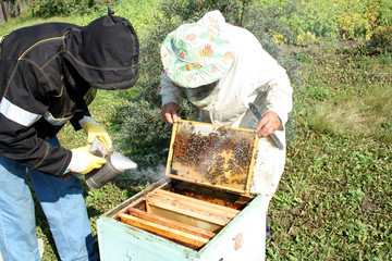 beekeeper with honeycomb and bees