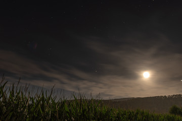 Nachthimmel mit Mond vor Maisfeld
