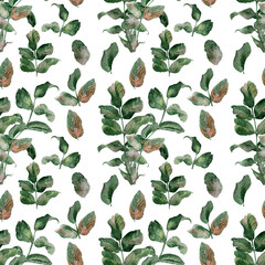 Watercolor seamless pattern with a ripe bright rosehip