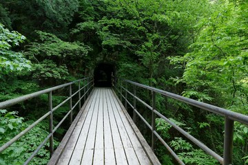 Fototapeta premium 《抱返り渓谷》秋田県仙北市