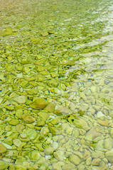 Clear sea water of the Adriatic Sea. Pebbles off the coast