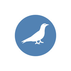 Silhouette of the crow standing. Trendy modern vector symbol for web site design or mobile app.
