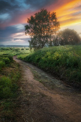 Fototapeta na wymiar sunset in a summer field with a rural road