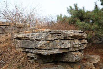 Gray rock