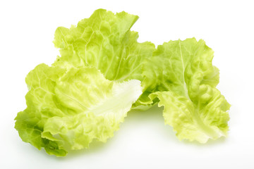 fresh green lettuce isolated on white background