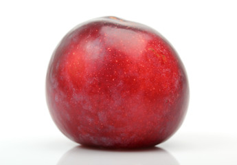 Plum
