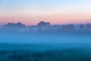 Misty forest after sunset