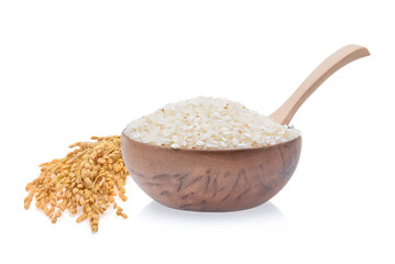 Japanese rice ears isolated on white background