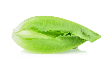 Lettuce isolated on white background