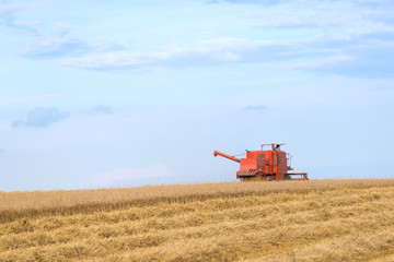 Fototapeta premium Red combine harvesting