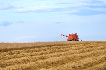 Red combine harvesting