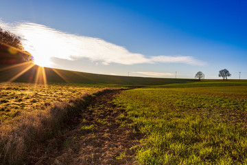 Sunset over agricultural field road and grass with blue sky 