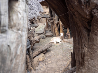 Traditional village of Konso, UNESCO World Heritage Site, Ethiopia