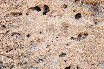 Old ancient wall texture