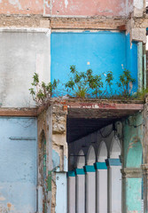 Trees growning on crumbling once grand building in Havana Cuba