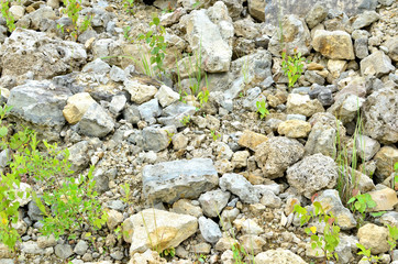 Natural stone dolomite in the limestone open-pit. Building materials, wall background, texture