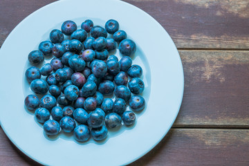 blueberries on a plate vaccinium corymbosum