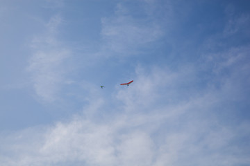 The hang glider