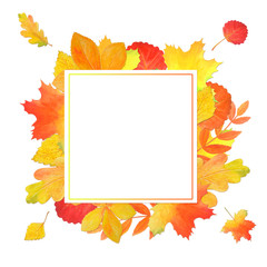 Presentation template with autumn leaves on white background