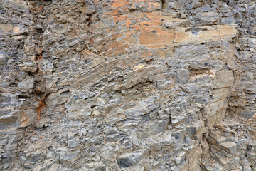 Grey rock bedding fold