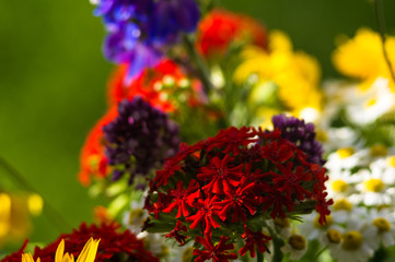 Fototapeta premium a bouquet of bright spring flowers of various types