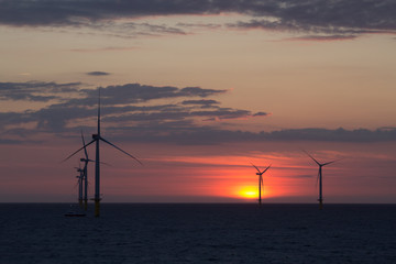Windpark mit Sonnenuntergang  copyspace