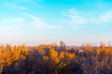 Fototapeta premium Urban autumn landscape with colorful trees in sunlight