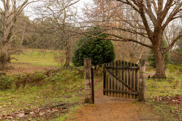 Open gate on path in winter Golden Valley Tree Park
