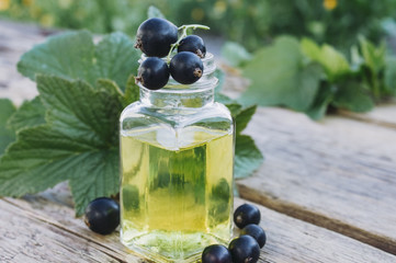 Black currant extract in a glass bottle. Medicinal tincture with black currant.