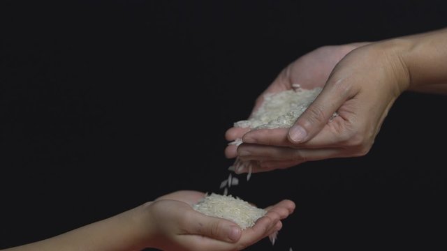hands falling rice seed to children hand below.