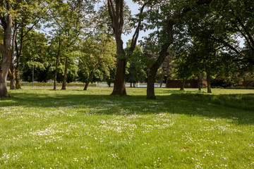 Beautiful park scene in public park