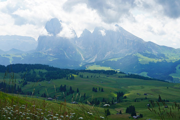 Alpe di Siusi/Seiser Alm