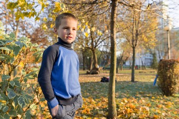 Portrait of boy child in sunny autumn park, background maple tree