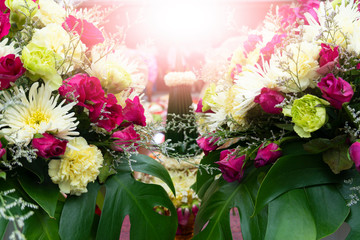 Flowers white and pink color for weddings and leave space for the text above.