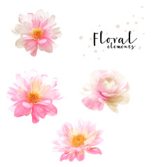 Beautiful flowers for your design and greeting cards for the holiday