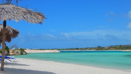 tropical beach with palm trees